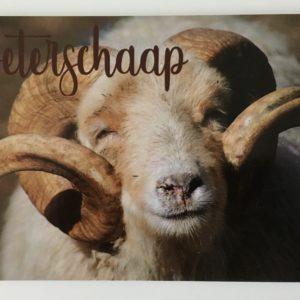 Postkaart beterschaap