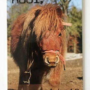 Postkaart hooi gaat het?