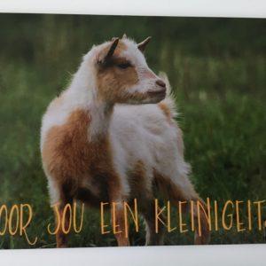 Postkaart voor jou een kleinigeitje