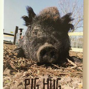 Postkaart pig hug