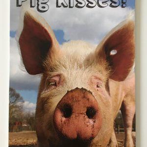 Postkaart pig kisses