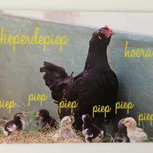 Postkaart hieperdepiep hoera