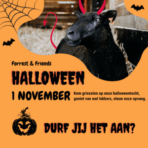 Halloweentocht - VOLZET