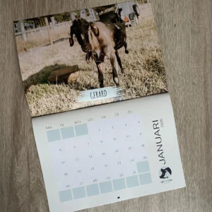 Kalender 2027 (najaar 2026 te koop)