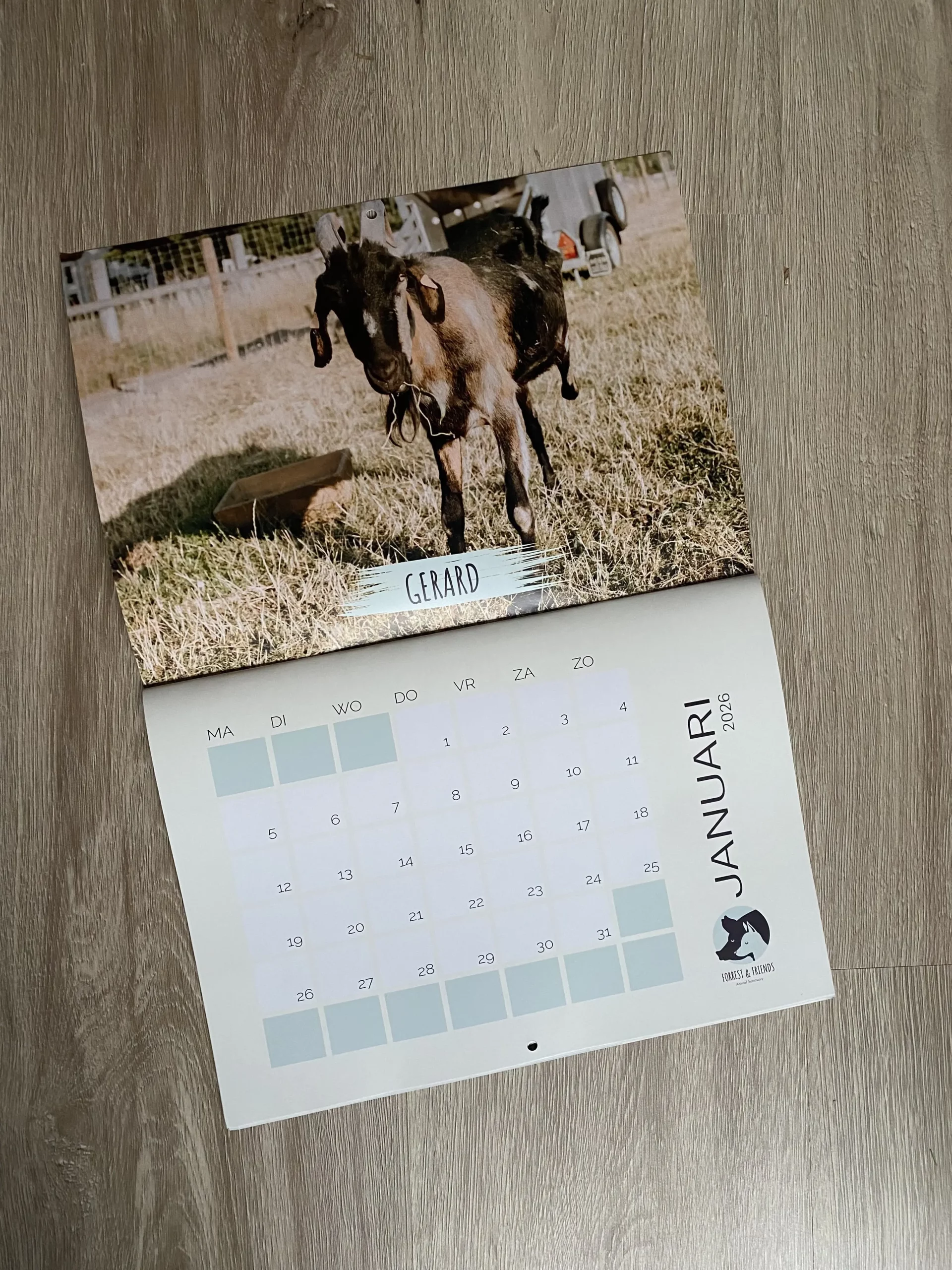 Kalender 2027 (najaar 2026 te koop)